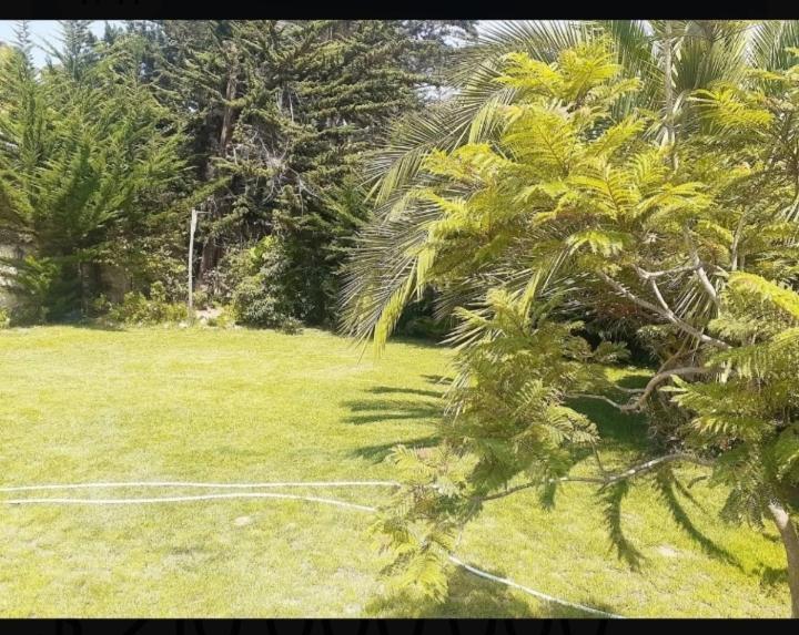 Apartamento Mi Refugio Isla Negra